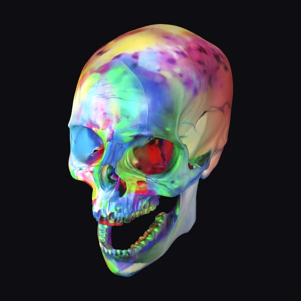 Rainbow Skull