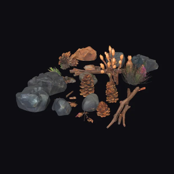 Autumn Forest Floor Elements