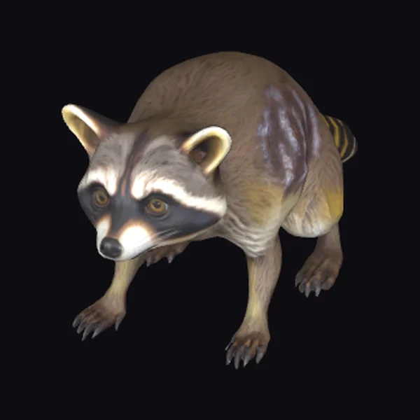 Mutated Raccoon Creature