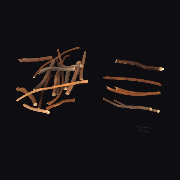 Twig fragments on white