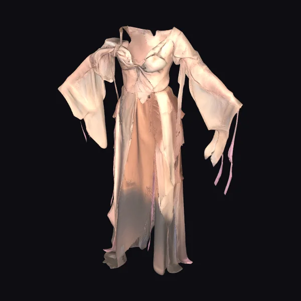 Tattered Elegant Evening Gown