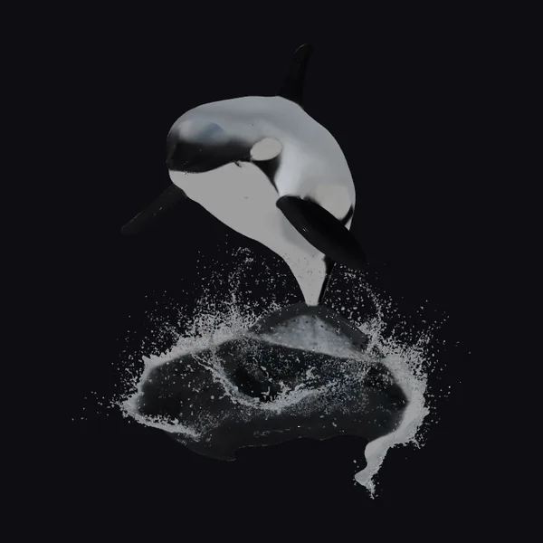 Orca Leap