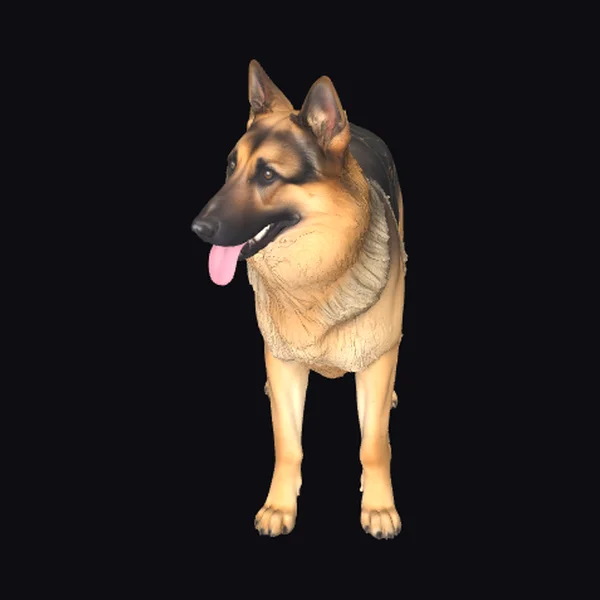 Standing German Shepherd Dog