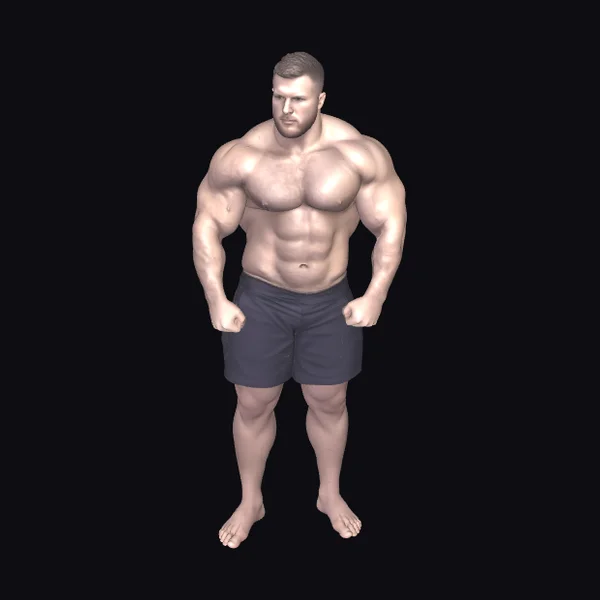 Muscular Male Physique