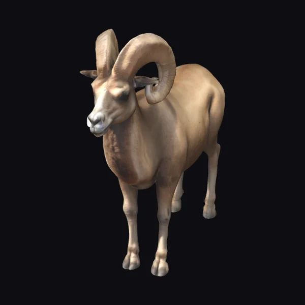 Horned Camelid Mammal