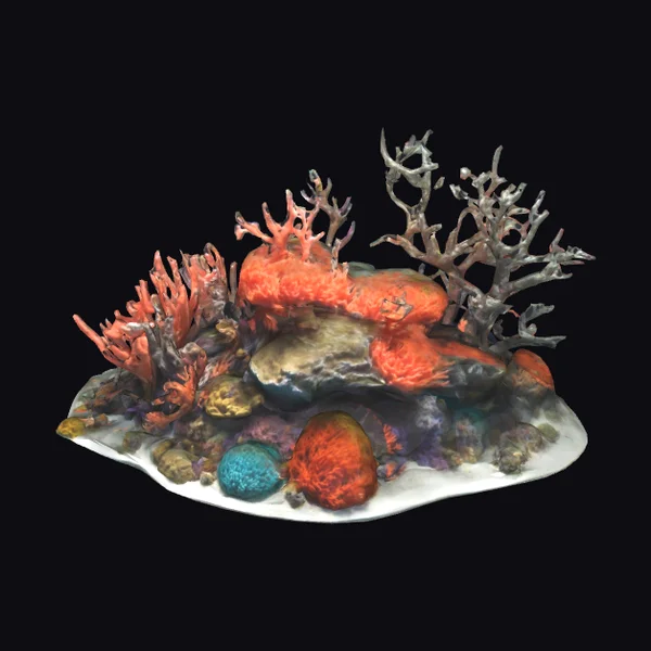 Vibrant Coral Reef Scene