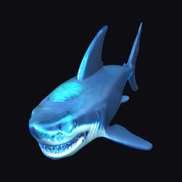 Electric Blue Shark