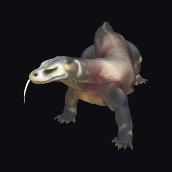Komodo Dragon Creature