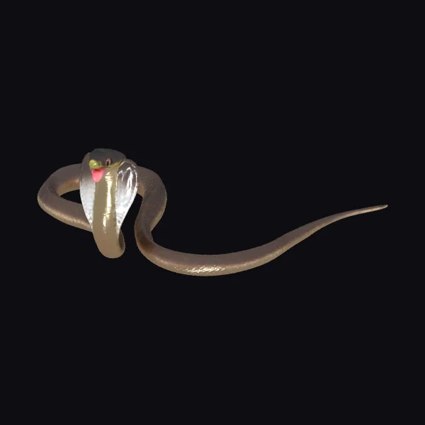 Cobra in Aggressive Stance