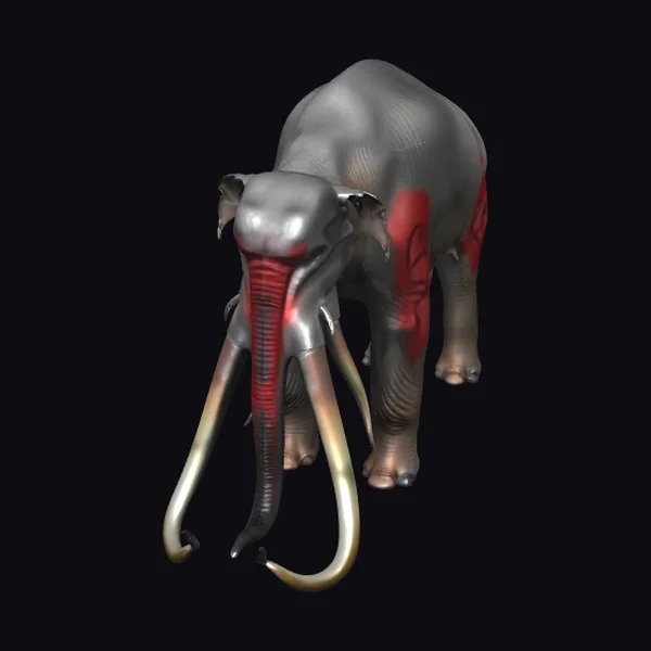 Ancient Elephant Skeleton