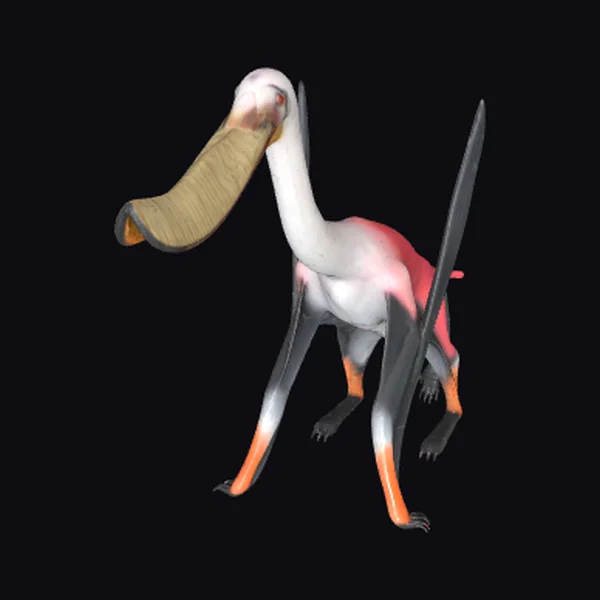 Pterosaur with Large Beak