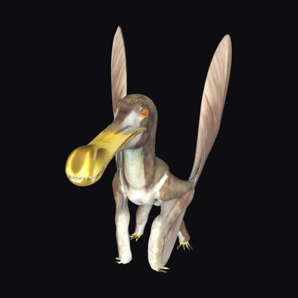 Pterodactyl Creature