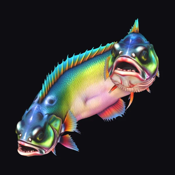 Double Headed Rainbow Fish