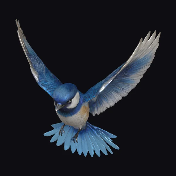 Flying Blue Bird