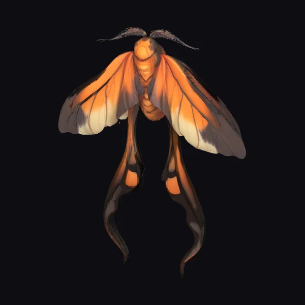 Orange Moth with Tails