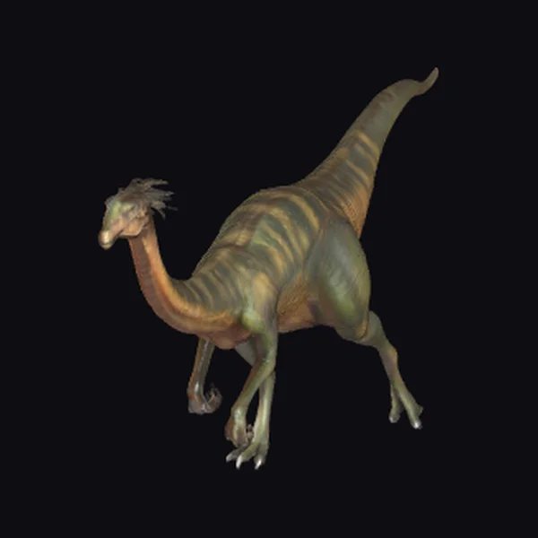 Gallimimus Dinosaur Illustration