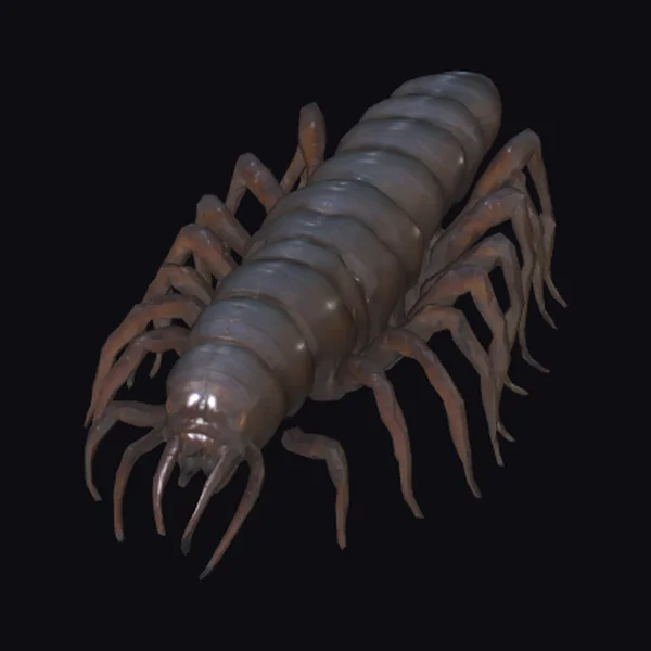 Giant Centipede Creature