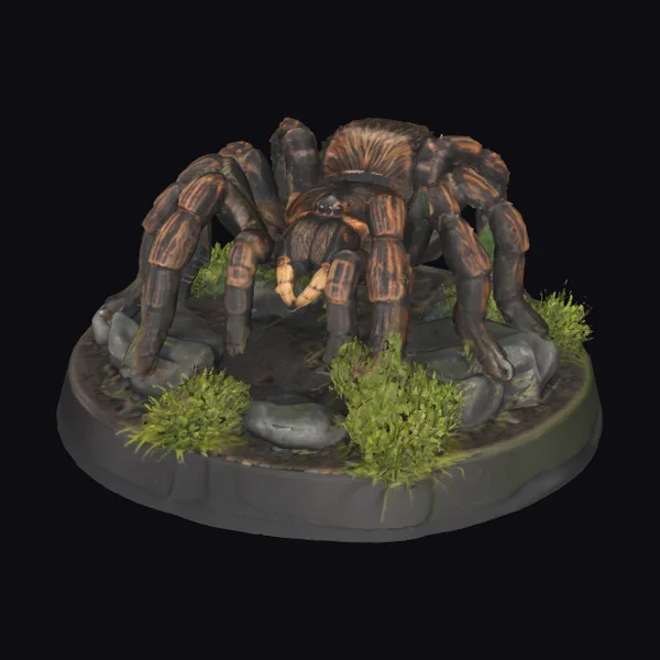 Giant Armored Spider
