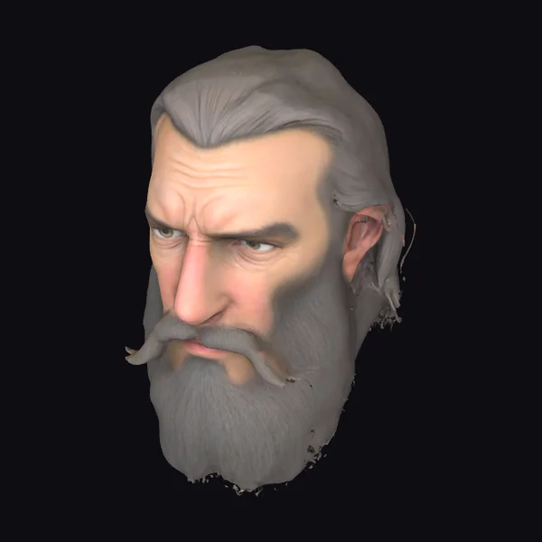 Man with Long Beard Face