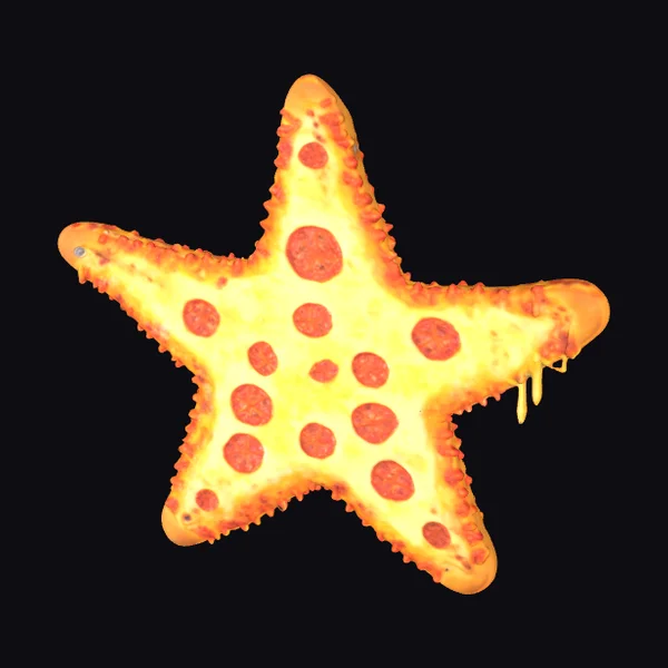 Starfish Pizza Slice