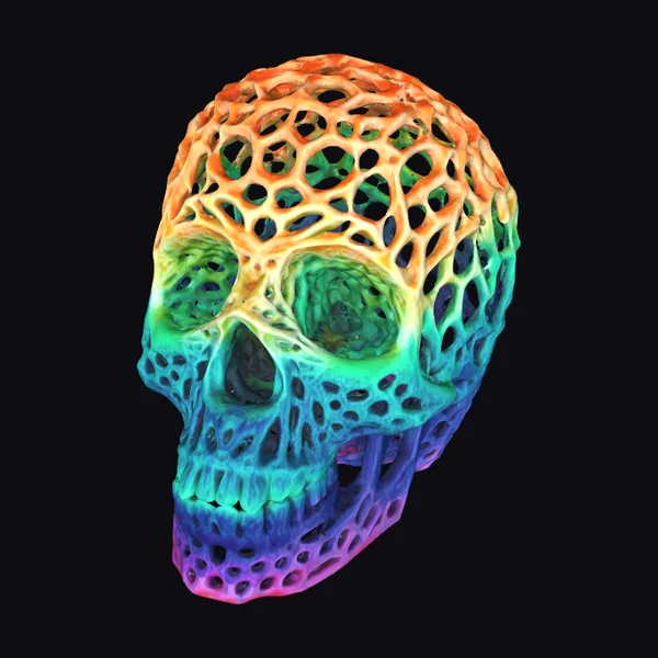 Rainbow Lattice Skull