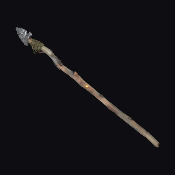 Ancient Spearhead