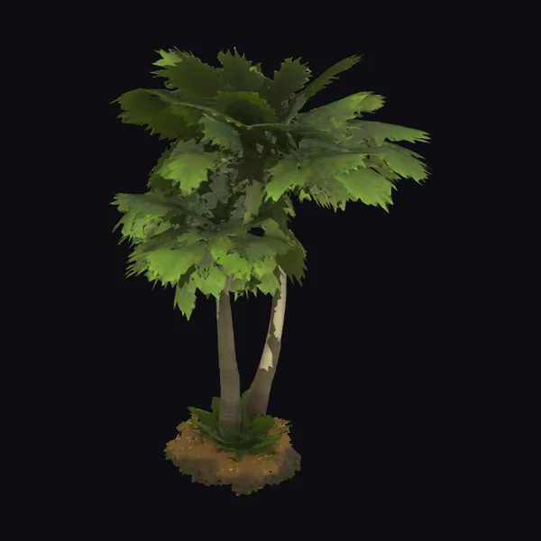 Twin Palm Tree