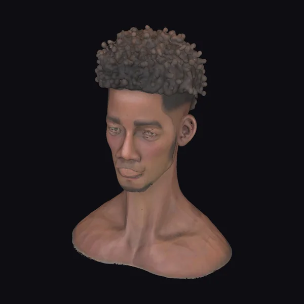 Man Afro Sideburns Stubble