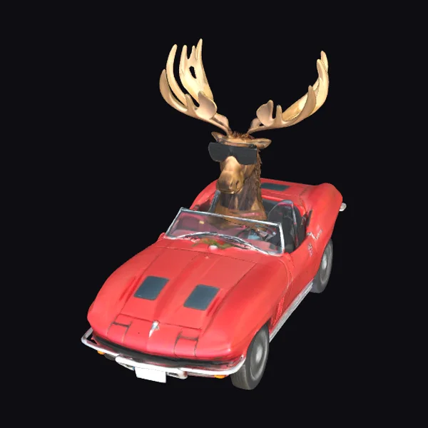 Moose in Corvette Convertible