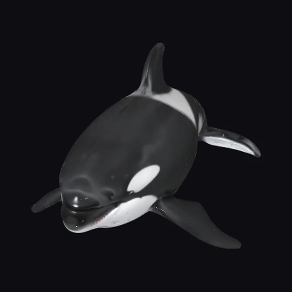 Hyper Realistic Orca Whale