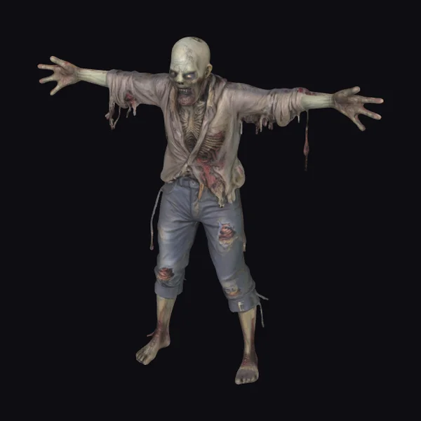 Decomposed Zombie Figure