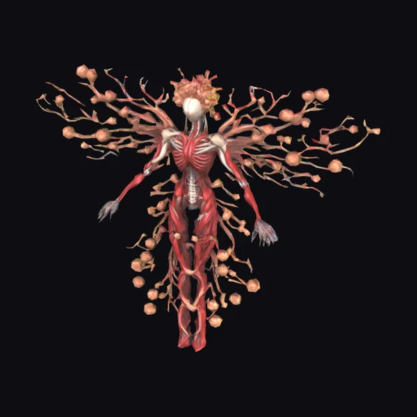 Necromant Fairy Anatomy