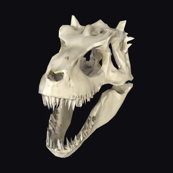 Dinosaur Skull