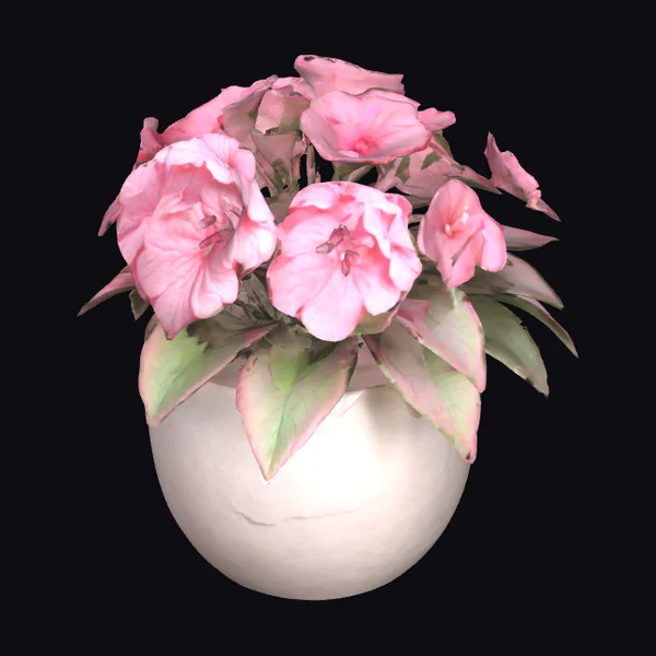 Pink Impatiens in Planter