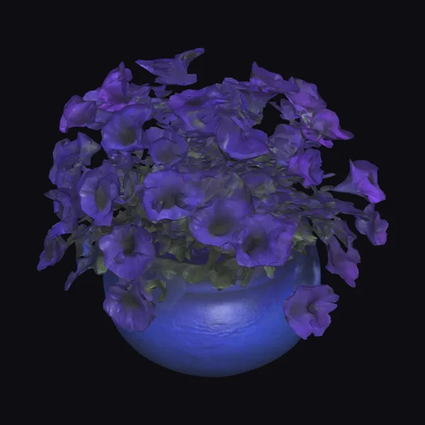 Container of Petunias