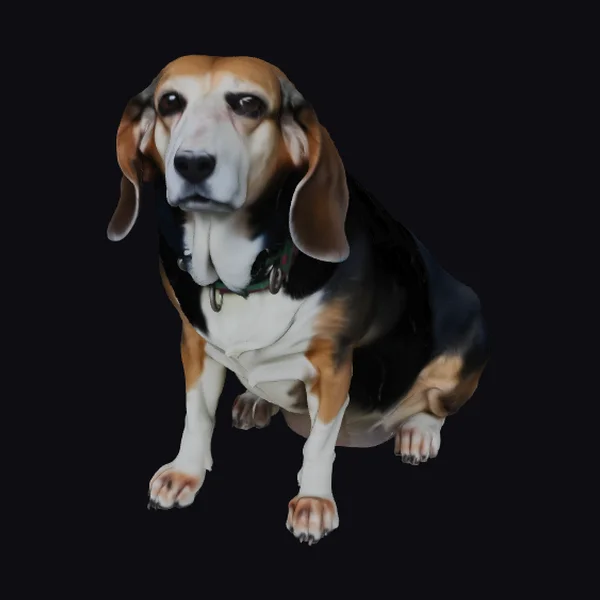 Sitting Beagle Dog