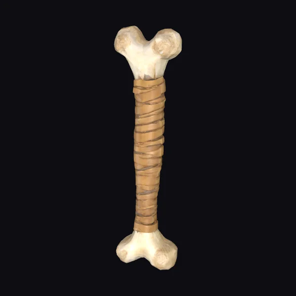 Bone Wrapped Club