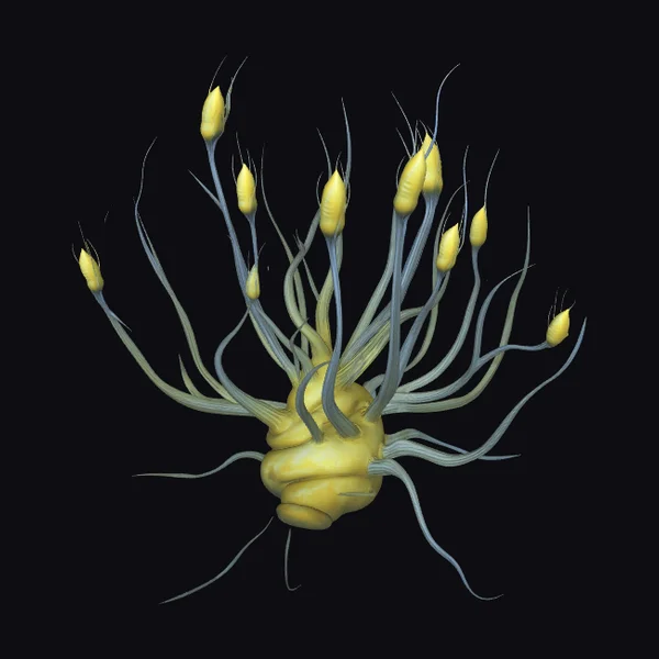 Alien Plant Specimen