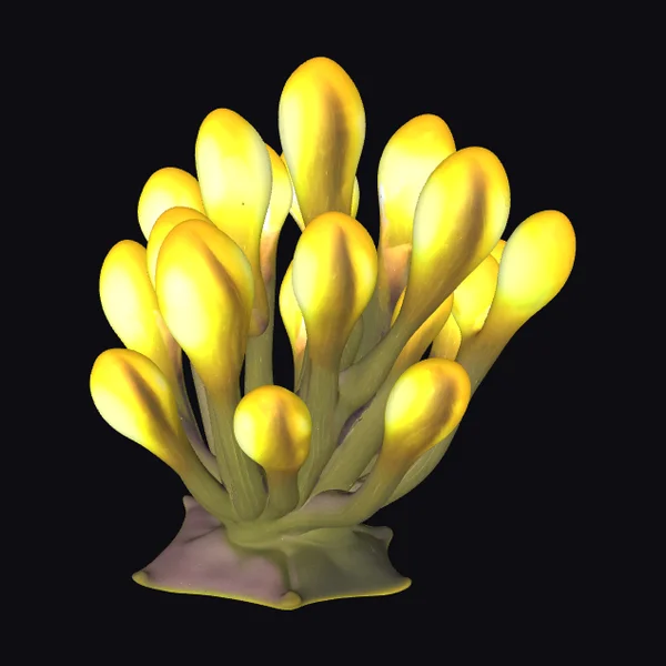 Glowing Yellow Alien Plant