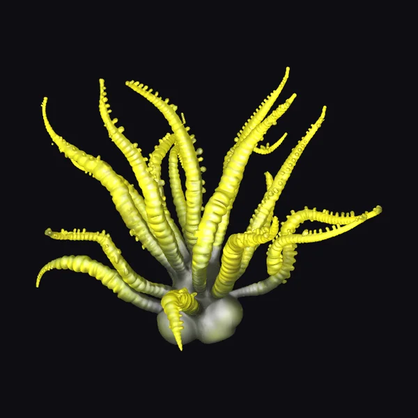 Alien Plant Creature