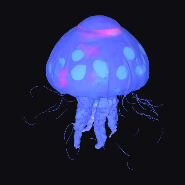 Glowing Blue Jellyfish