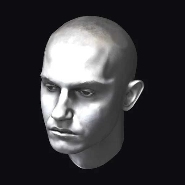 Bald Male Head