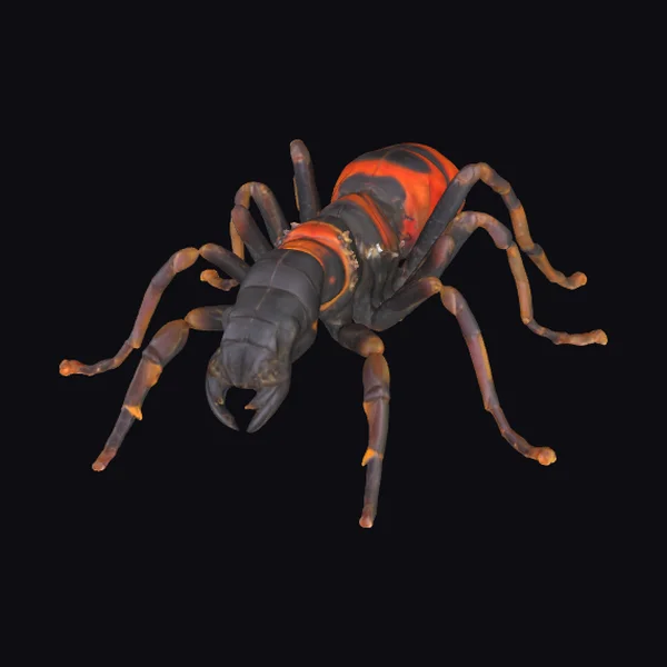 Insectoid Scorpion Creature