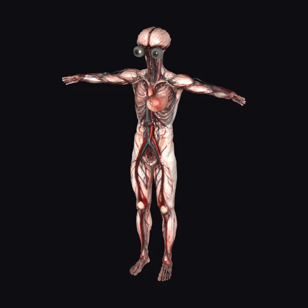 Alien Human Anatomy