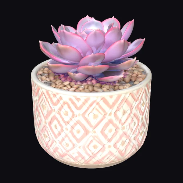 Rosy Succulent in Geometric Pot