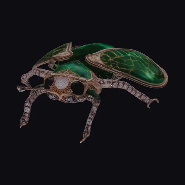 Emerald Jewel Beetle