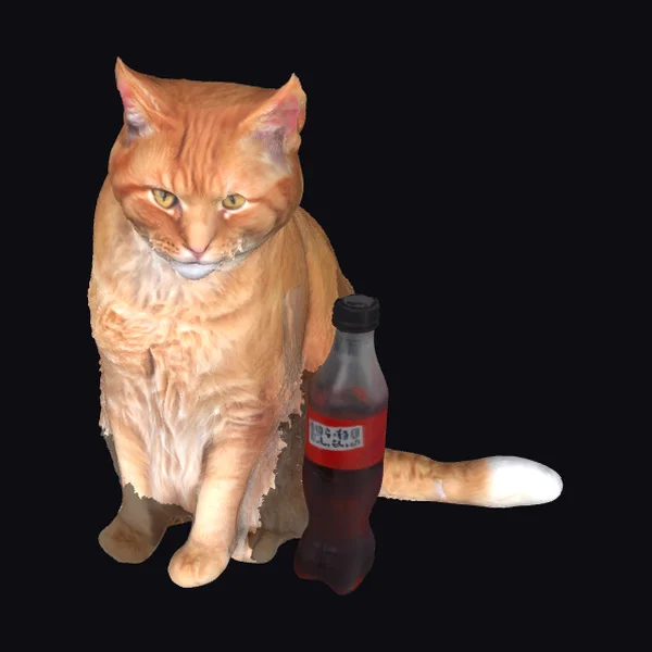 Cat with Soda Bottle
