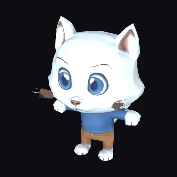 Cartoon Cat Character