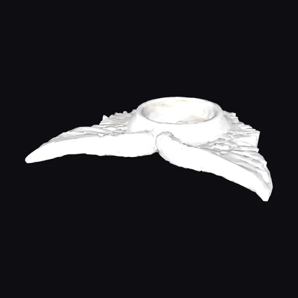 Angel Wings Candel Holder