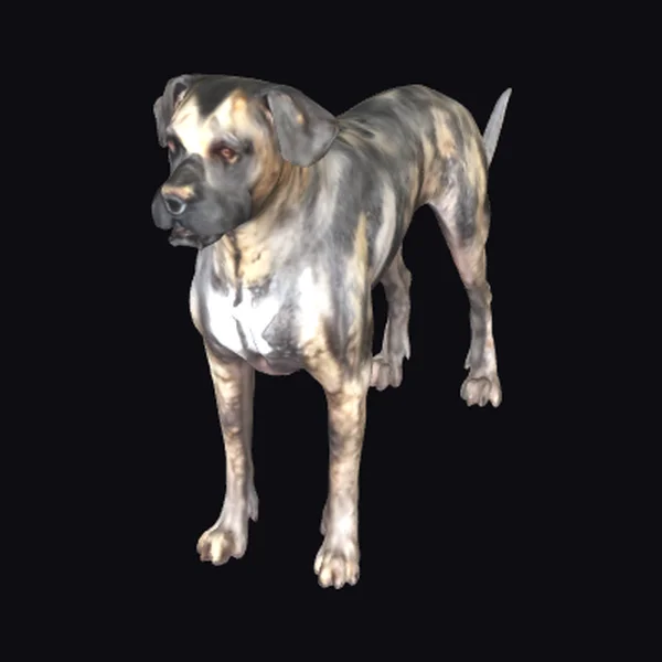 Brindle Dog Standing